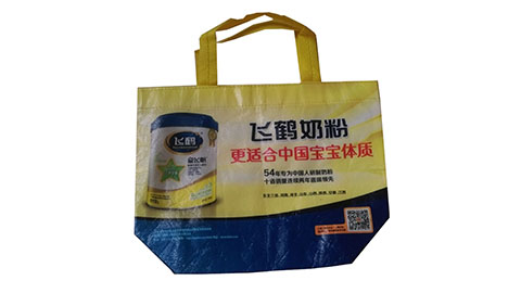 LB04 PP Lamination ECO Bags